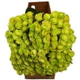 thumbnail image 3 of Member's Mark Illusion Roses, 96 stems, Choose color variety, 3 of 7