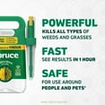 thumbnail image 3 of Spruce Snap & Spray Weed & Grass Killer Powered Starter Kit + EZ AIM, 74 oz, 3 of 9