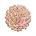 thumbnail image 1 of Member's Mark Ecuadorian Premium Roses, choose color variety and stem count, 1 of 8
