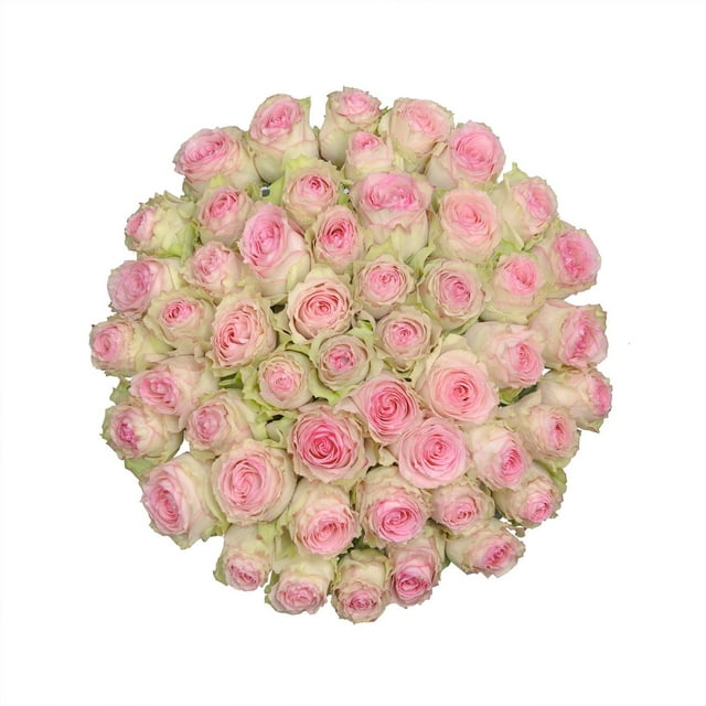Member's Mark Ecuadorian Premium Roses, choose color variety and stem count