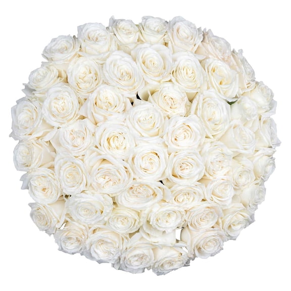 Member's Mark Ecuadorian Premium Roses, choose color variety and stem count