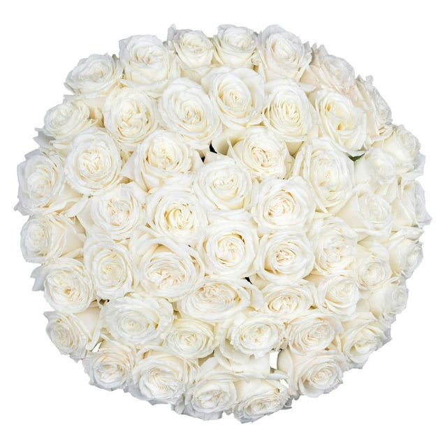 Member's Mark Ecuadorian Premium Roses, choose color variety and stem count
