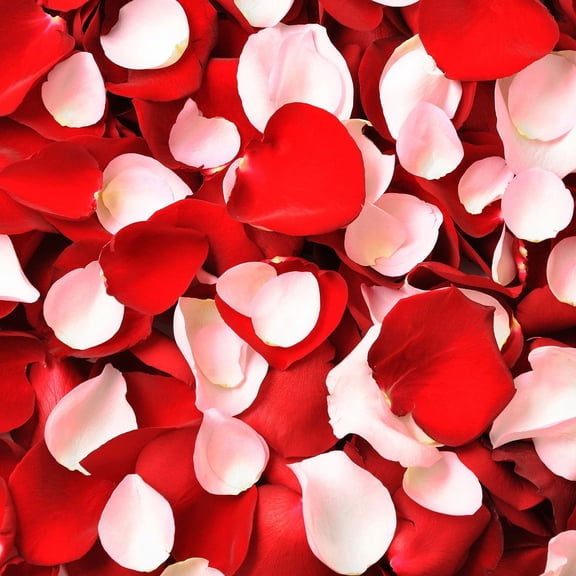 Member's Mark Fresh Rose Petals, 3000 ct., Choose color variety