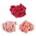 thumbnail image 1 of Member's Mark Spray Roses, color and variety may vary, 1 of 7