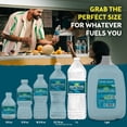 thumbnail image 5 of Zephyrhills 100% Natural Spring Water, 1 L, 15 pk., 5 of 10