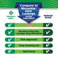thumbnail image 8 of Member’s Mark Nicotine Mini Lozenge, Choose your flavor, 216 ct., 8 of 8