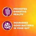 thumbnail image 5 of Metamucil Fiber Sugar-Free Gummies, Orange, 150 ct., 5 of 8
