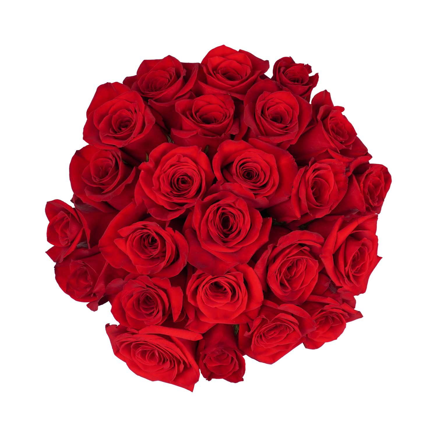 Double Dozen Roses Member's Mark Premium Double Dozen Rose, 24 stems - Samsclub.com