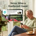 thumbnail image 5 of Birdfy Solar Powered Smart Hummingbird Feeder w/ AI Recognition, 5 of 12