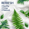 thumbnail image 3 of Downy Infusions Refresh In-Wash Scent Booster Beads, Birch Water & Botanicals (34 oz.), 3 of 6