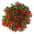 thumbnail image 1 of Member's Mark Alstroemeria, Choose color and stem count, 1 of 1