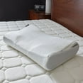 thumbnail image 1 of Tempur-Pedic Cool Luxury Pillow Protector, Assorted Sizes, 1 of 5