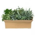 thumbnail image 2 of Member's Mark Assorted California Greens 20 bunches, 2 of 10