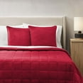 thumbnail image 3 of Member's Mark Dutch Velvet 2-Pack Decorative Pillows, 22" x 22", 3 of 6