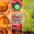 thumbnail image 9 of Air Wick Plug In Scented Oil Air Freshener, Autumn Air & Crisp Leaves + Brown Sugar & Vanilla, 1 Warmer + 6 Refills, 9 of 10