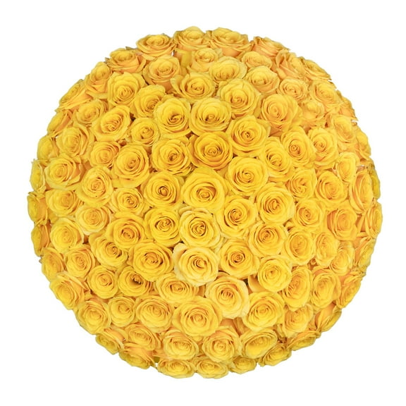 Member's Mark Ecuadorian Premium Roses, choose color variety and stem count