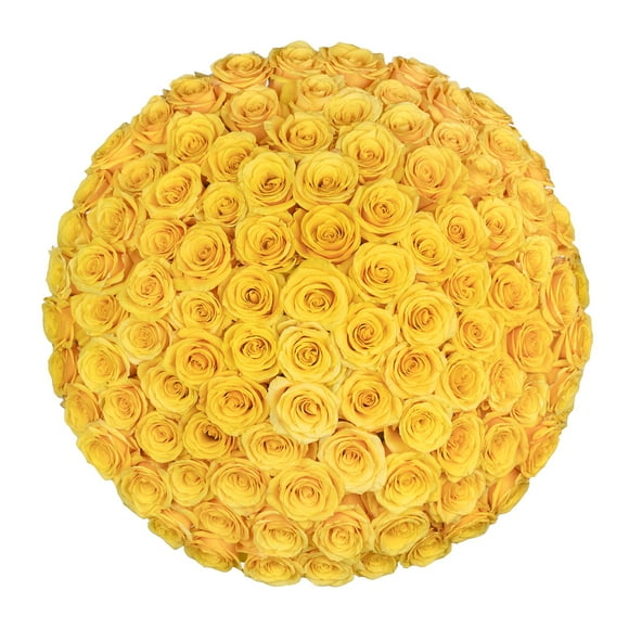 Member's Mark Ecuadorian Premium Roses, choose color variety and stem count
