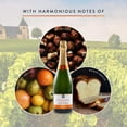 thumbnail image 3 of Member's Mark 24 Champagne Didier Dumond Brut, 750 ml, 3 of 8