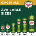 thumbnail image 4 of Canada Dry Ginger Ale Soda 12 fl. oz., 36 pk., 4 of 11