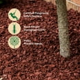 thumbnail image 4 of Member's Mark Rubber Mulch, 1.25 cu. ft. Assorted Colors, 4 of 11
