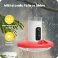 thumbnail image 4 of Birdfy Solar Powered Smart Hummingbird Feeder w/ AI Recognition, 4 of 12