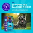 thumbnail image 3 of Evolutions by NaturVet, Probiotic Plus Superfoods, Soft Chews for Dogs, 180 ct., 3 of 9