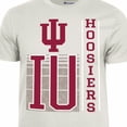 thumbnail image 4 of Champion NCAA Indiana Bisons Short Sleeve Tee, 4 of 7
