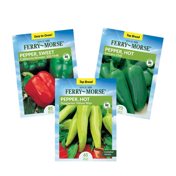 Garden Starter Kit with Vegetable Seeds and Seed Starter Tray