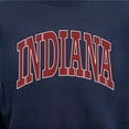 thumbnail image 6 of State of Mine Varsity Arch State Fleece Sweatshirt, 6 of 7