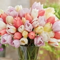 thumbnail image 5 of Member's Mark Tulip Pastel Blend Dormant Bulbs, 40pk, 5 of 9