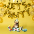 thumbnail image 4 of Let's Pawty Birthday Box Dog Toy Bundle, 5-Piece Set White, 4 of 9