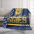 thumbnail image 2 of Logo Brands North Carolina A&T Aggies 60"x70" Super Plush Blanket, 2 of 7