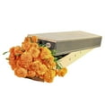 thumbnail image 6 of Member's Mark Orange Marigolds, choose stem count, 6 of 8