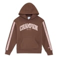 thumbnail image 5 of Champion Girls Hoodie, 5 of 7