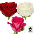 thumbnail image 1 of Member's Mark Fair Trade Roses, 75 stems, Choose color variety, 1 of 5