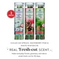 thumbnail image 3 of Scentsicles 3-Pack Scented Stick Ornaments - White Winter Fir, Snowberry Pine, and Icicles on Spruce, 3 of 6