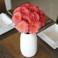 thumbnail image 5 of Member's Mark Garden Roses, 36 stems, Choose color variety, 5 of 6