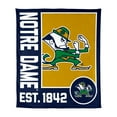 thumbnail image 1 of Logo Brands Notre Dame Fighting Irish 60"x70" Super Plush Blanket, 1 of 6