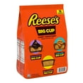 thumbnail image 1 of REESE'S Big Cup Assorted Flavored Peanut Butter Cups Candy, 16 pcs., 1 of 8