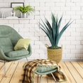 thumbnail image 3 of Artificial 42" Agave in Brown Handwoven Basket, 3 of 5