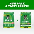 thumbnail image 2 of IAMS Proactive Health Minichunks Chicken Recipe Adult Dry Dog Food, Multi-sizes, 2 of 4