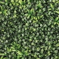 thumbnail image 6 of Select Surfaces Artificial Hedge Panels, 2-Pack, Choose Type, 6 of 7