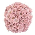 thumbnail image 1 of Member's Mark Painted Poms, 60 Stems, choose color, 1 of 6