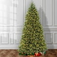thumbnail image 1 of National Tree Company 10' Dunhill Fir Pre-Lit Christmas Tree, 1 of 8