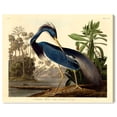 thumbnail image 2 of Louisiana Heron Traditional Canvas Print by Oliver Gal Prints, 2 of 5