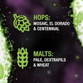 thumbnail image 4 of Elysian Space Dust IPA Ale Beer, 12 fl. oz. can, 12 pk., 4 of 7