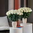 thumbnail image 7 of Member's Mark Ecuadorian Premium Roses, choose color variety and stem count, 7 of 8