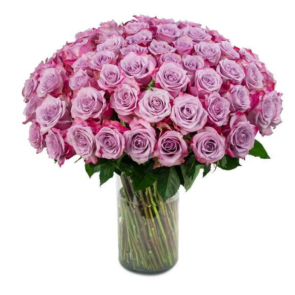 Member's Mark Rose Vase Arrangement, 100 stems, choose color