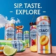 thumbnail image 4 of SanPellegrino CIAO! Rainbow Cans 11.15 fl. oz., 18 pk., 4 of 5