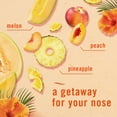 thumbnail image 9 of Febreze Car Air Freshener Vent Clips, Midnight Storm and Hawaiian Aloha, 5 ct., 9 of 9